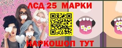 СК Сланцы